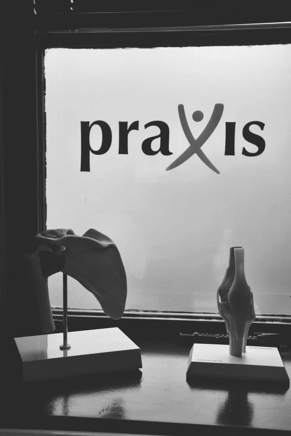 Praxis fönster